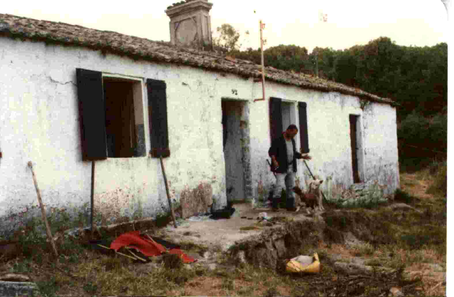 feijut.jpg (49749 bytes)