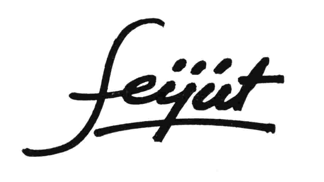 firmfeij.jpg (12395 bytes)