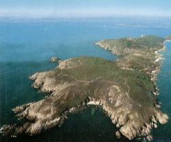 isla.jpg (11916 bytes)